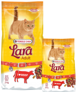 Adult Beef Flavor for Adult Cats - 2 kg Bag